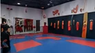 Instalaciones ilustrativas de artes marciales