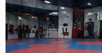 Instalaciones ilustrativas de artes marciales