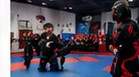 Instalaciones ilustrativas de artes marciales